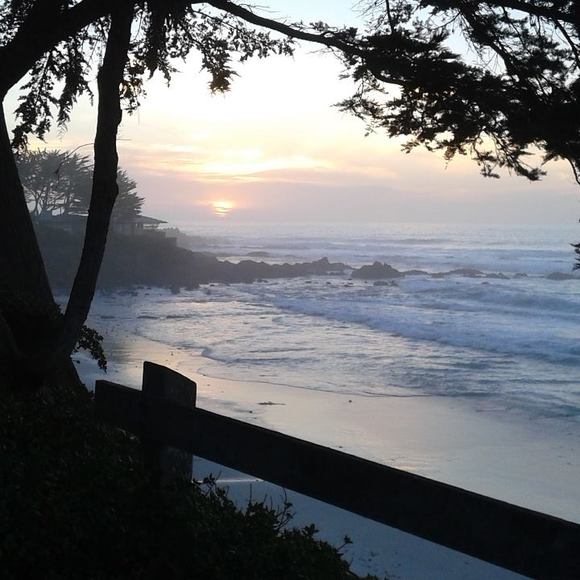 Meet your Posher, April - Picture 1 of 1